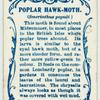 Poplar hawk-moth.