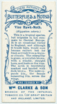 Vine hawk-moth.