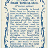 Small tortoise-shell.