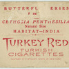 Cethosia penthesilia.