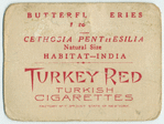 Cethosia penthesilia.