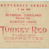 Elyminias undularis.