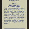 Rathbunia alamosensis.