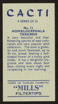 Homalocephala texensis.