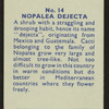 Nopalea dejecta.