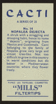 Nopalea dejecta.