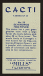 Echinopsis multiplex.