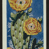 Opuntia lindheimeri.
