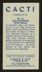 Heliocereus speciosus.