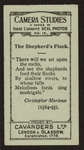 The shepherd's flock.