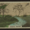 Casual water.