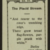The placid stream.