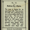 Medicine Hat