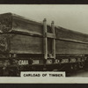 Carload of timber