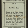 Red Pine Chute
