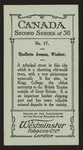 Quellette Avenue, Windsor