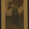 A Gleaner.