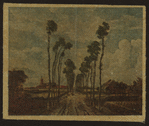 The Avenue, Middelharnis.