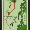 Mr. Rabbit's round--2nd hole.