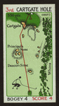 Mr. Tiger's round--3rd hole.