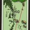 Mr. Rabbit's round--10th hole.
