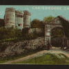 Carisbrooke Castle.