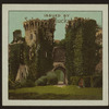 Raglan Castle.