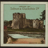 Chepstow Castle.