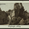 Dryburgh Abbey.
