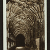 Cloisters, Gloucester Cathedral.
