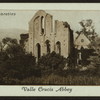 Valle Crucis Abbey.