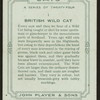 British wild cat.