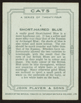 Short-haired blue.
