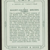 Short-haired brown tabby.