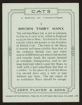 Brown tabby manx.