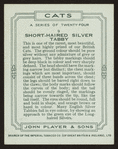Short-haired silver tabby.