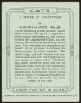 Long-haired blue.
