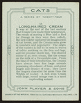 Long-haired cream.