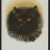 Long-haired smoke.