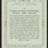 Long-haired tortoiseshell and white.