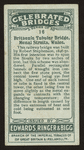 Britannia Tubular Bridge.