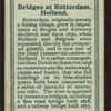 Bridges at Rotterdam.
