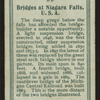Bridges at Niagara Falls.