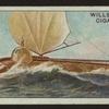 The Nautilus.