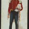 A lord lieutenant.