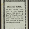 Blue beveren rabbit.
