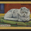 Florizel of Frampton.