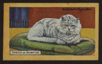 Florizel of Frampton.