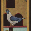 Bronze madena.