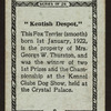 Kentish despot.